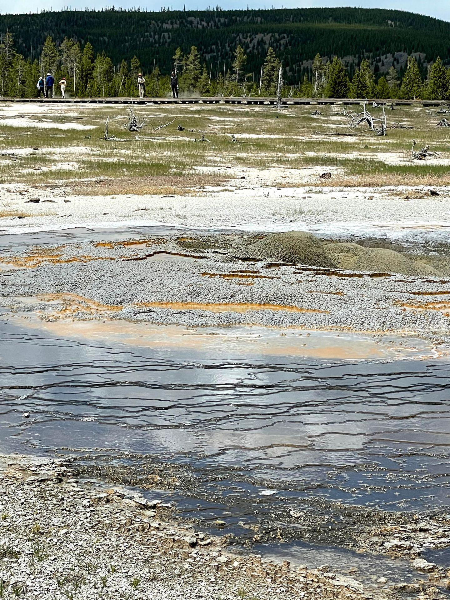 An area of blue and orange hot springs in the Biscuit Basin area.