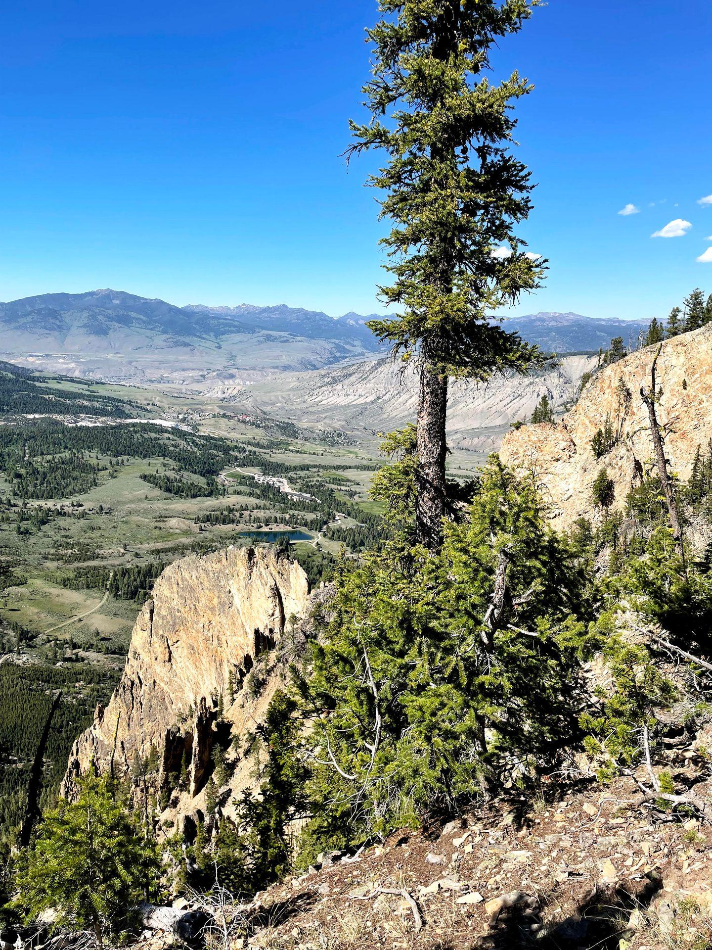 A view of a valley and mountains from the Bunsen Peak trail.