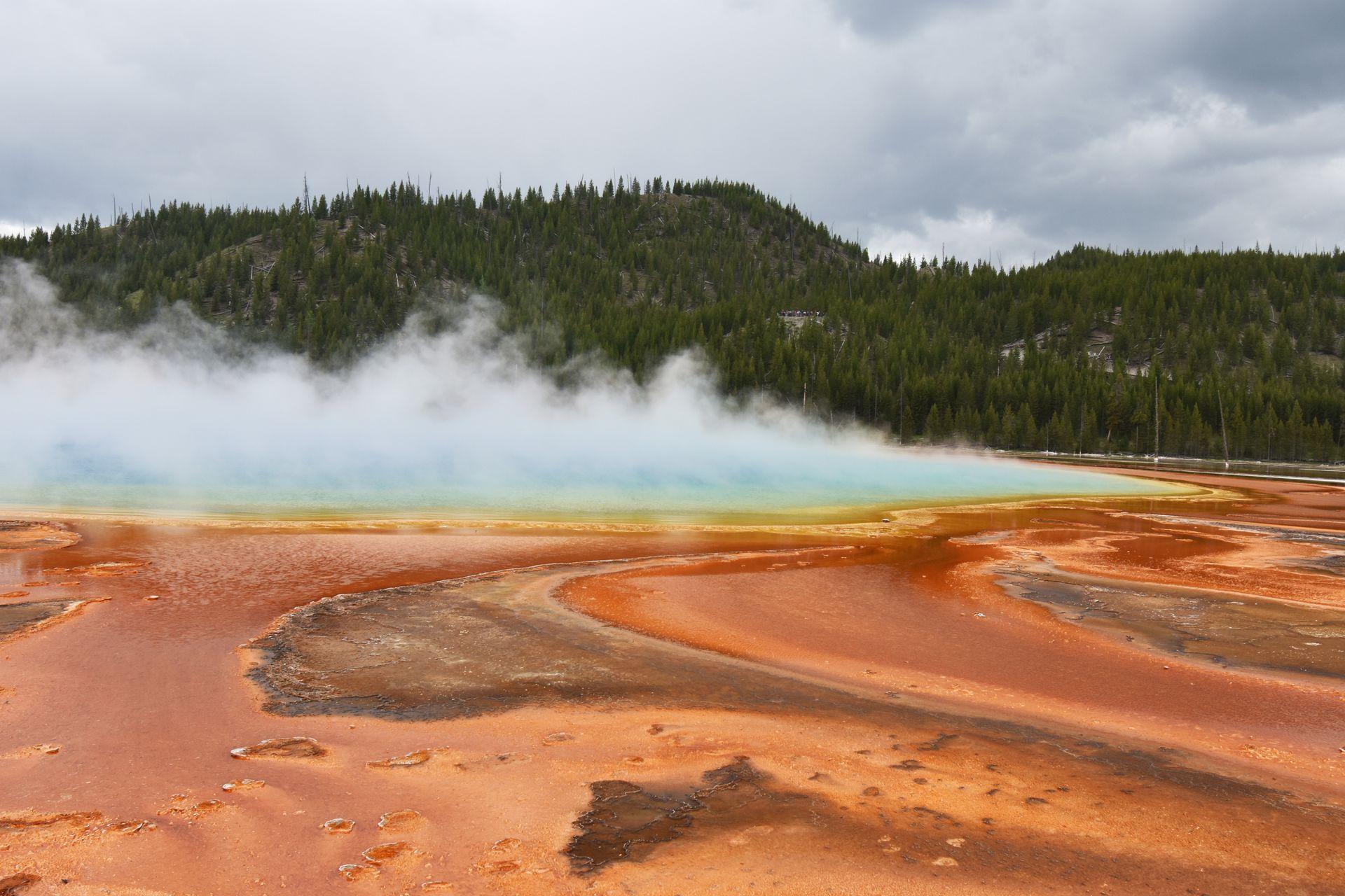 A view of Grand Prismatic Spring from the boardwalk trail.