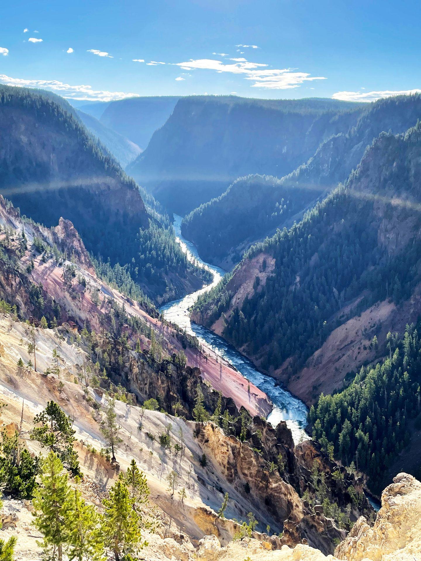 The winding river and the Grand Canyon of the Yellowstone from Inspiration Point.