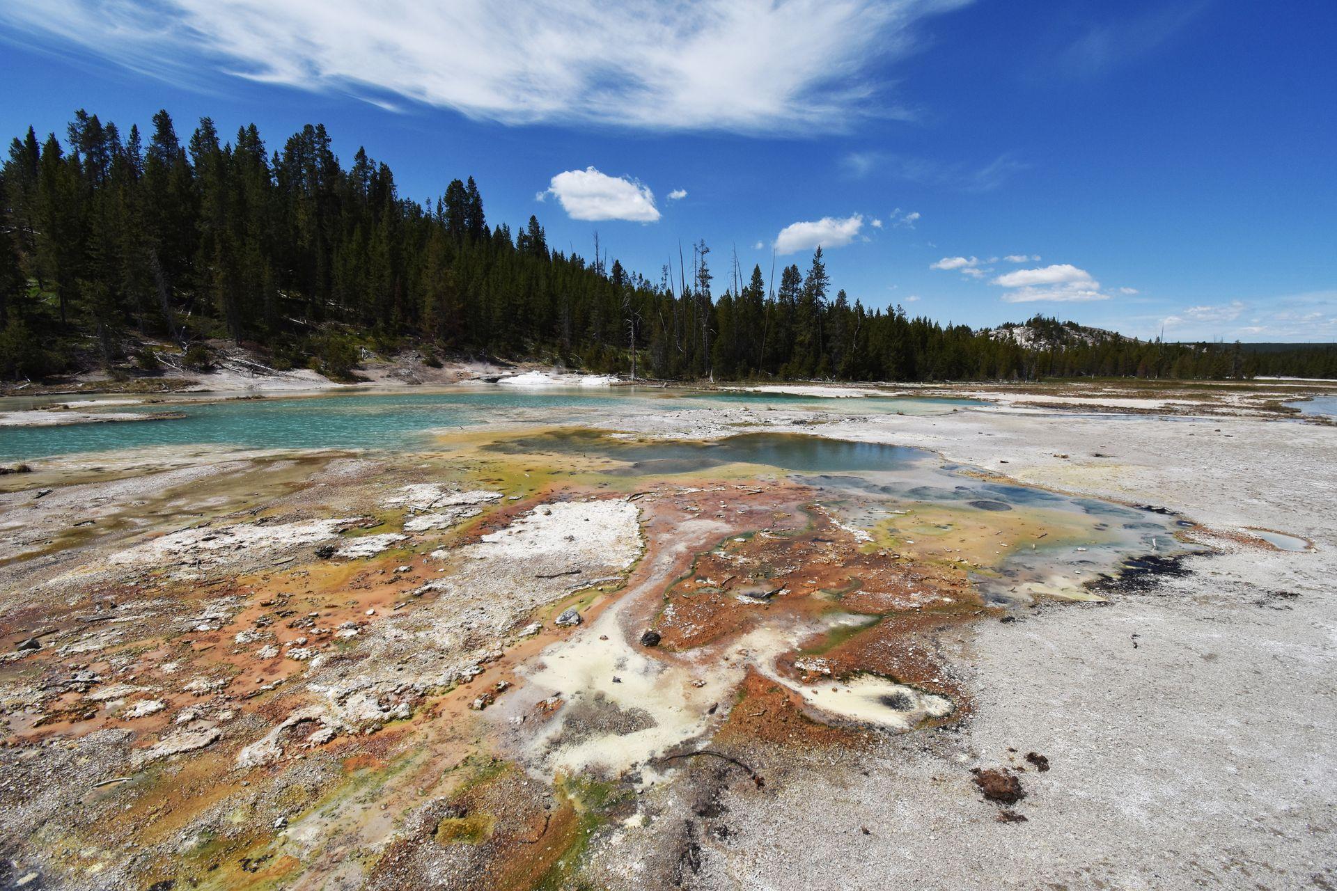 A hot spring with yellow and orange colors and blue water at the Norris Geyser Basin.