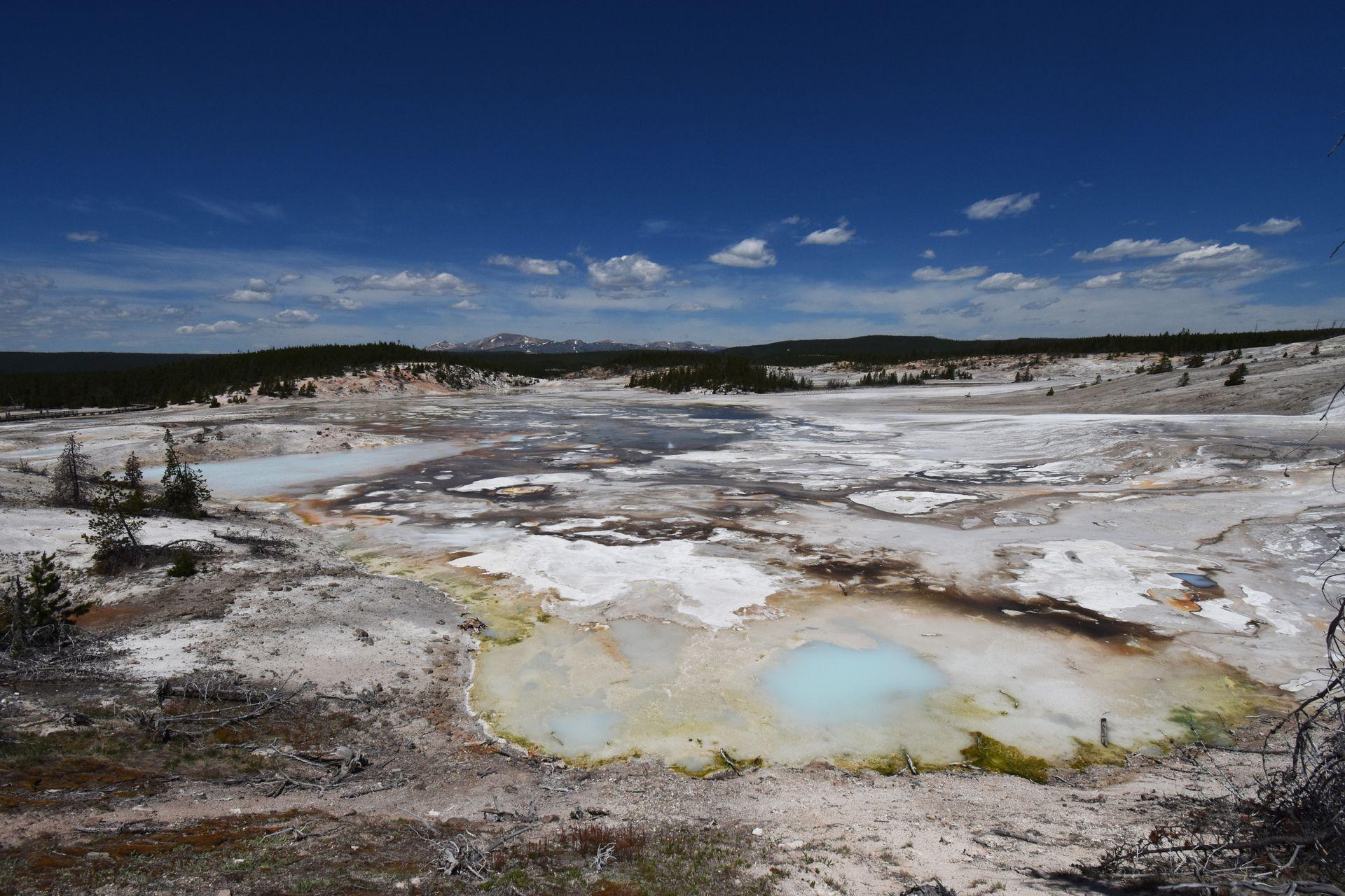 A bright blue hot spring in the Porcelain Basin area of Yellowstone.