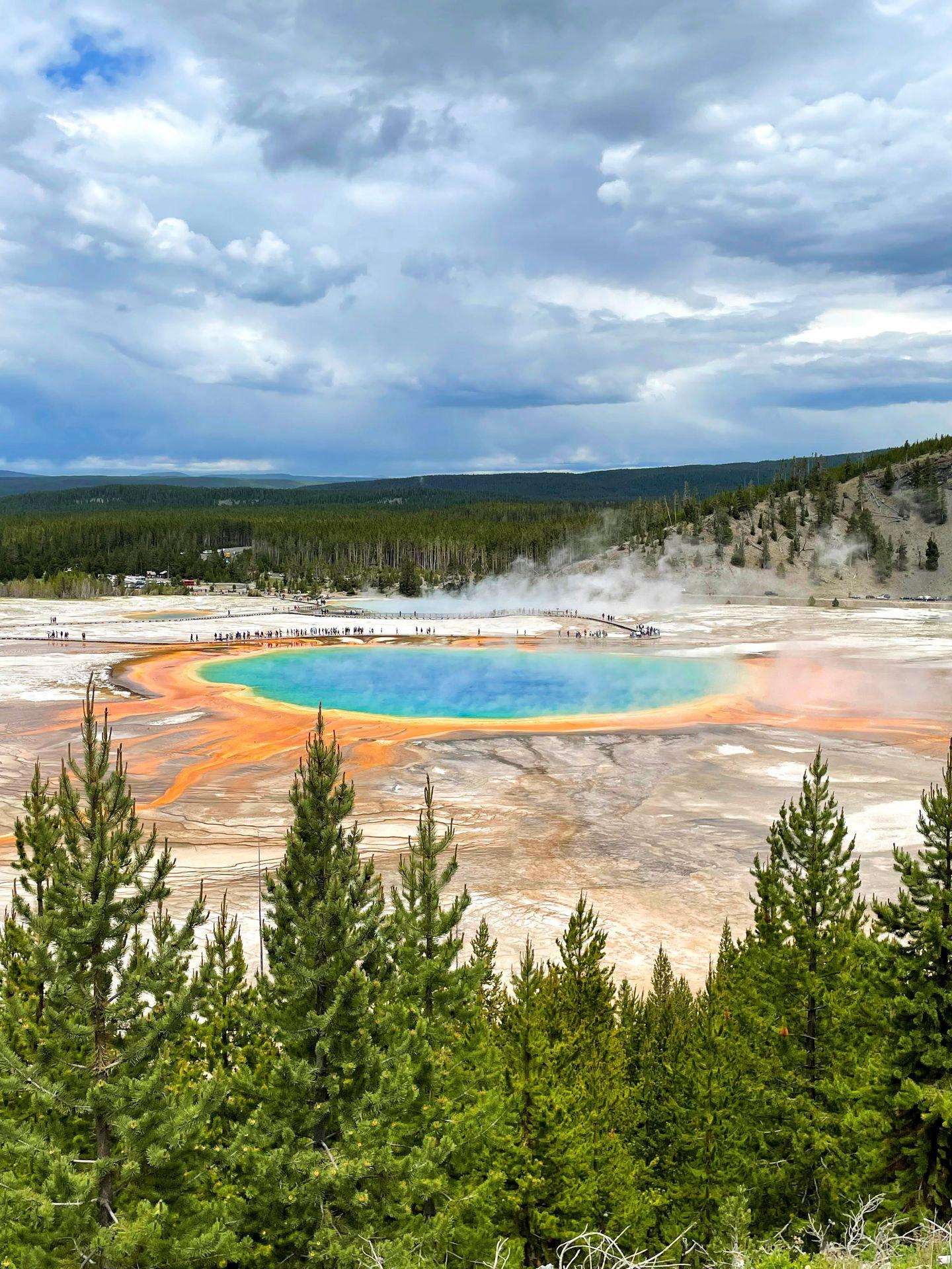 A view of the Grand Prismatic Spring from the overlook.