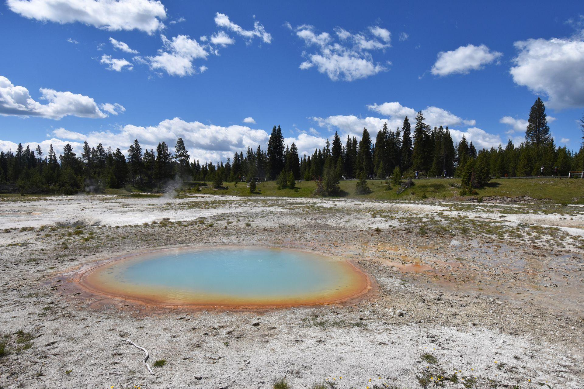 A colorful hot spring in the West Thumb area of Yellowstone.