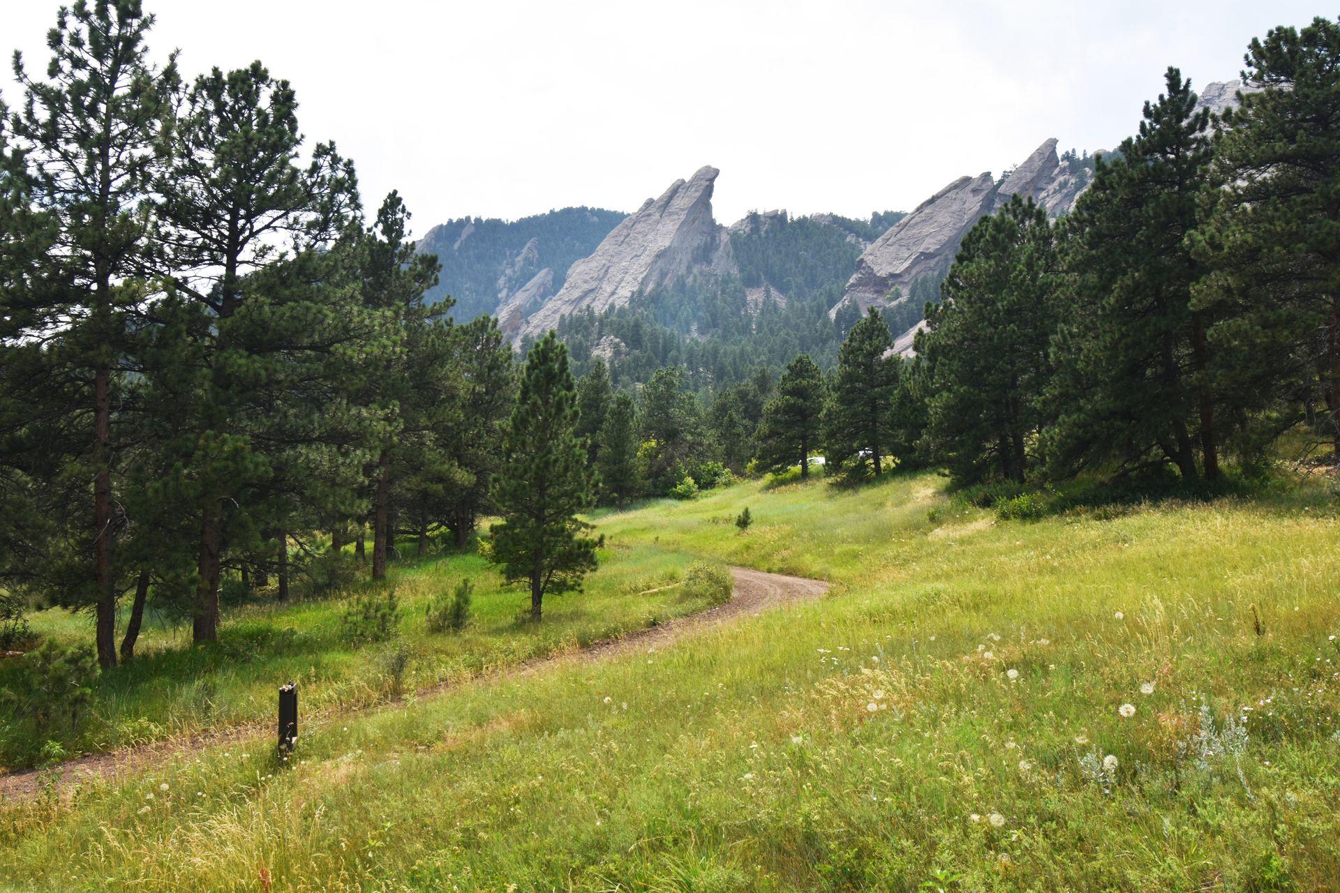 A trail winding through a meadow and trees with the Flatirons in the distance.