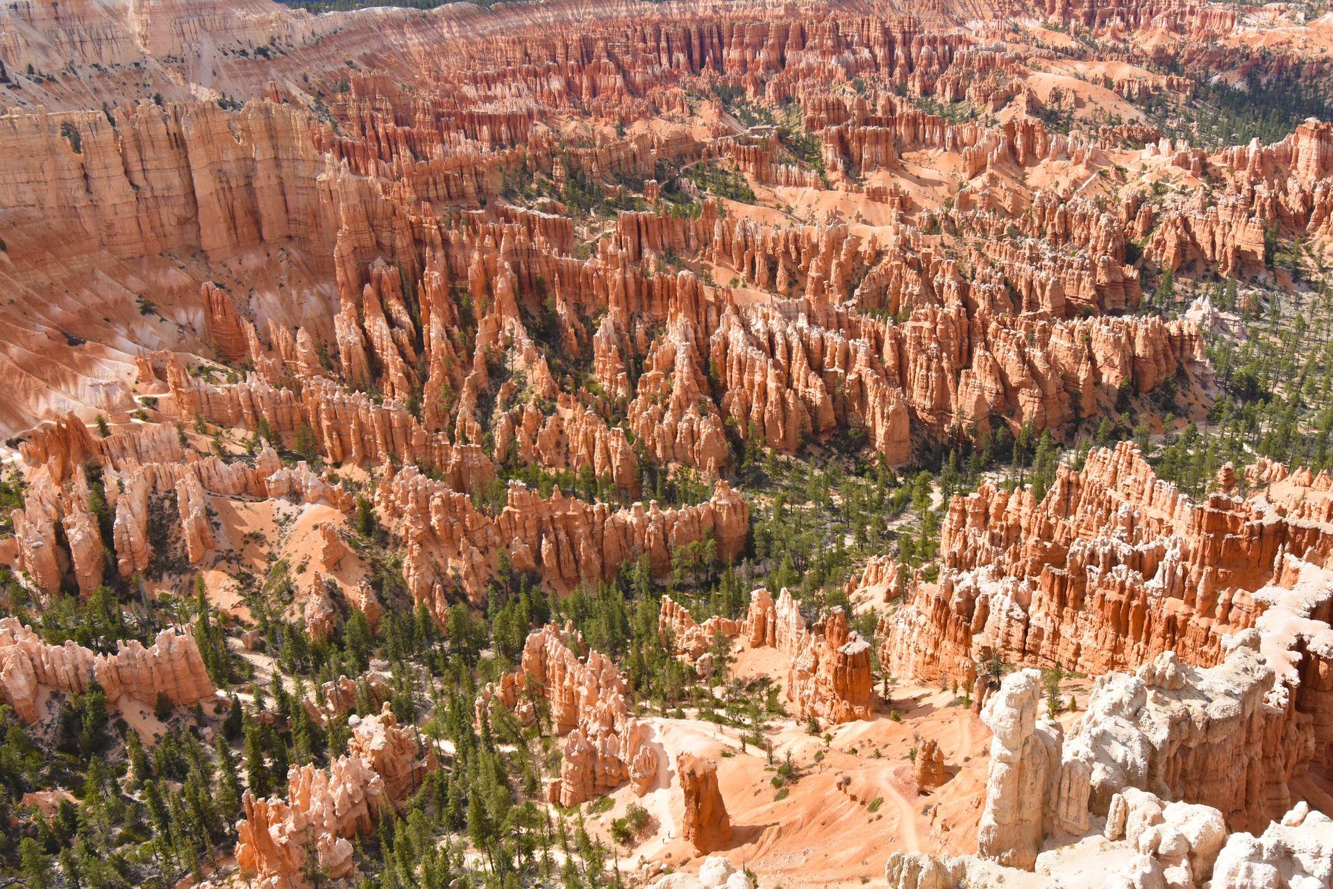 A close up view of many hoodoos as you look down from Bryce Point.