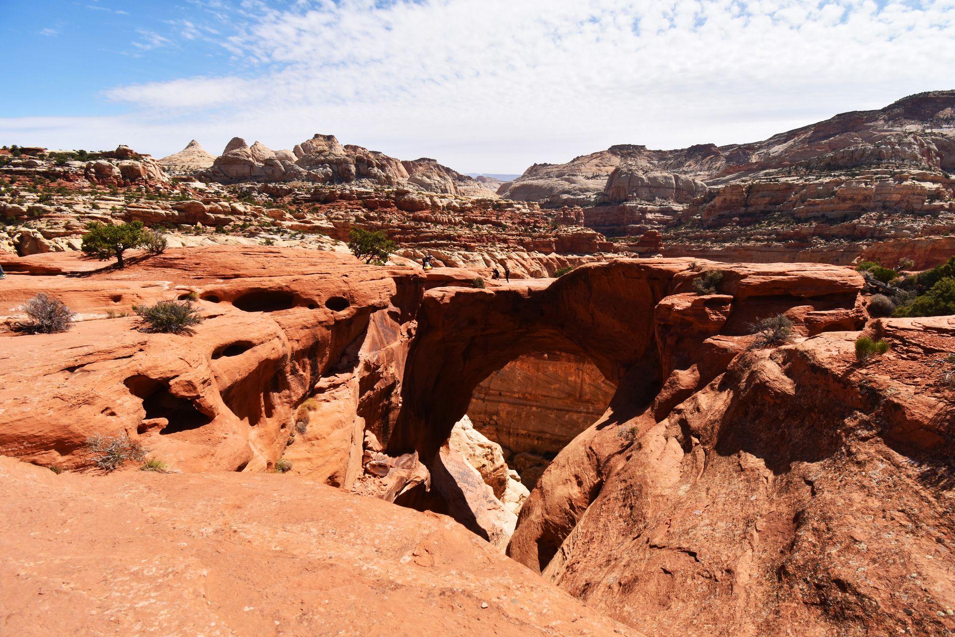 The Hickman Bridge in Capitol Reef National Park. A large orange rock arch is surrounded by orange rock formations.