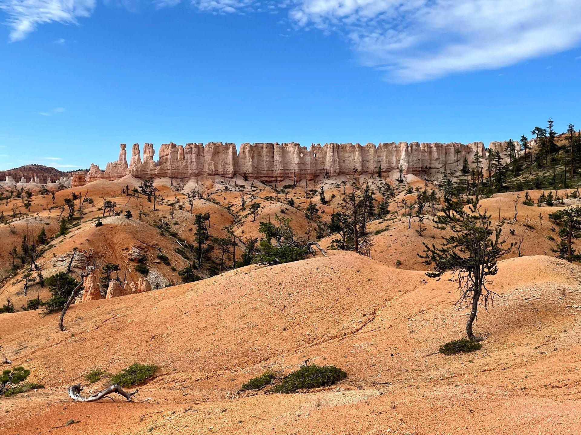 A view of a wall of hoodoos known as the "China Wall" from the Fairyland loop trail.