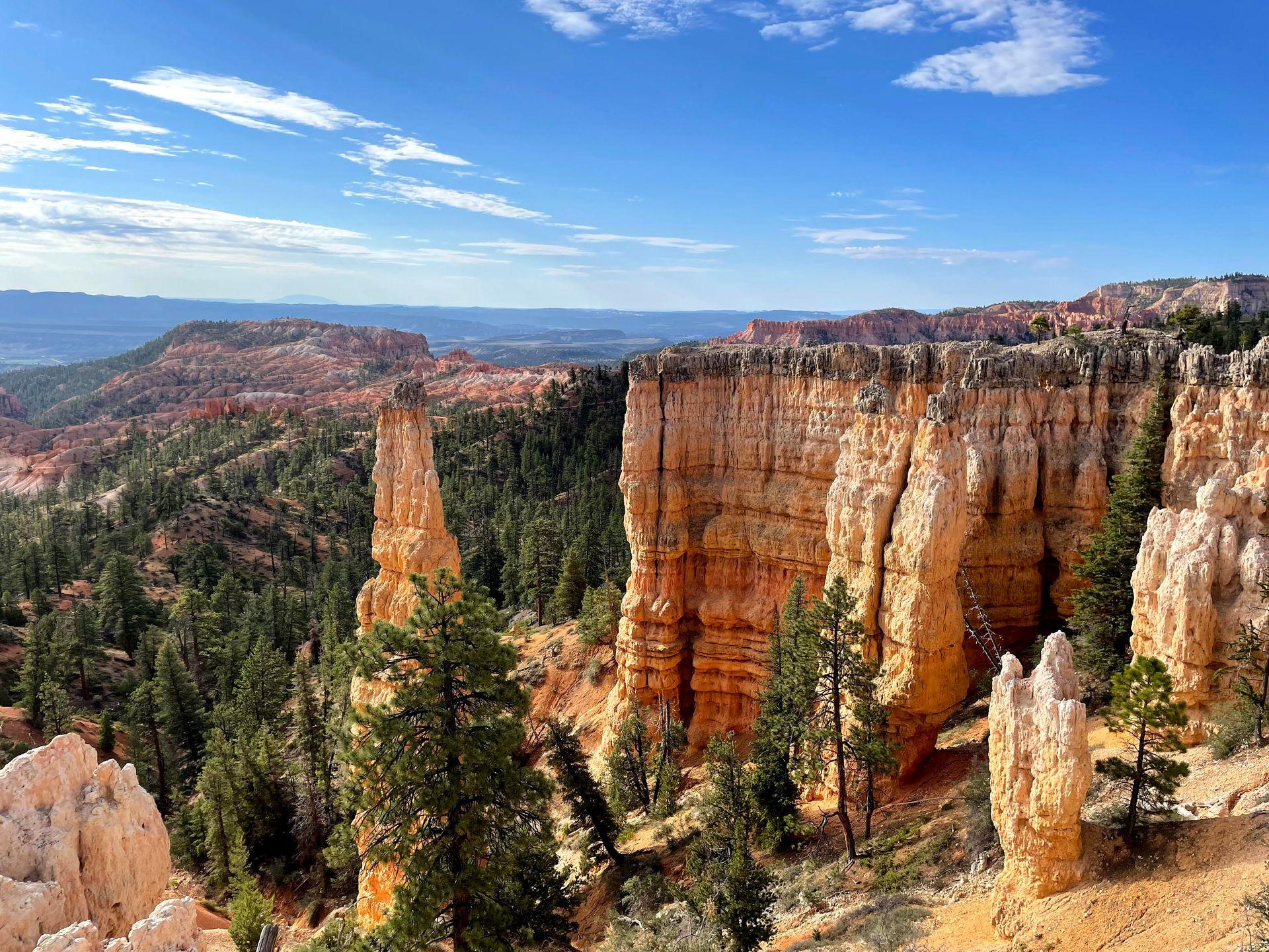 A view from the Fairyland Loop trail of orange hoodoos with green trees nearby. One hoodoo seems to stand alone.