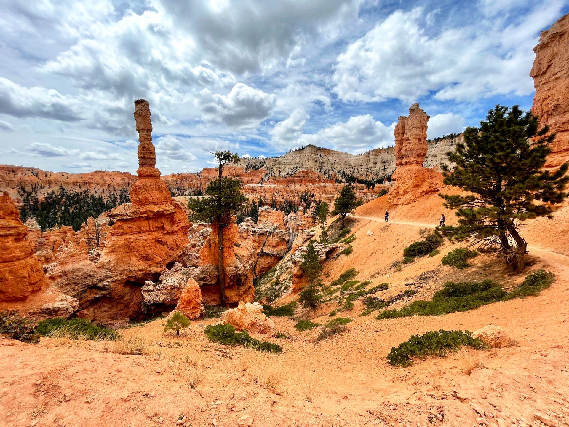 A trail and orange hoodoos on the Peekaboo Trail in Bryce Canyon.