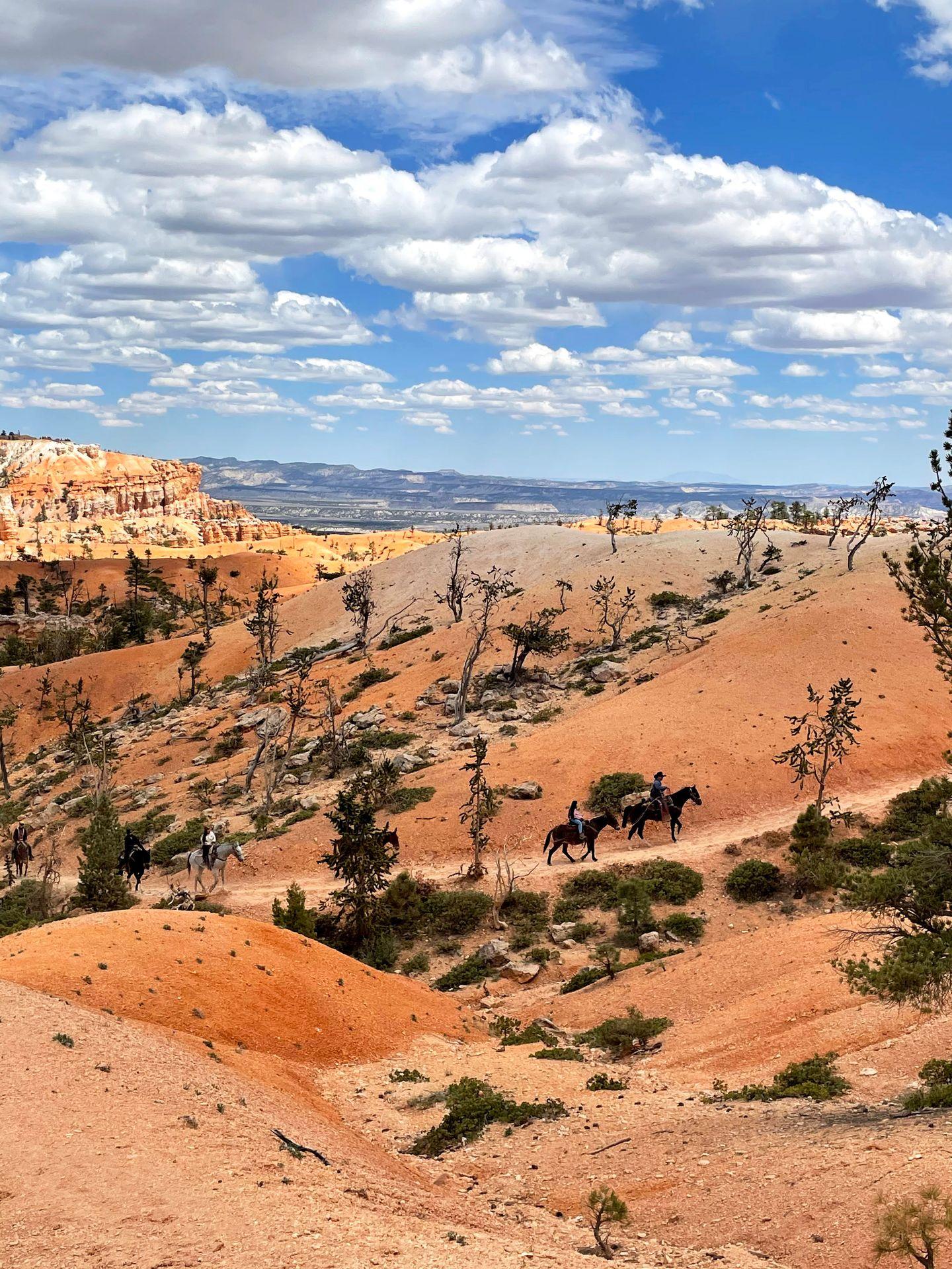 A line of horseback riders on a trail in Bryce Canyon.