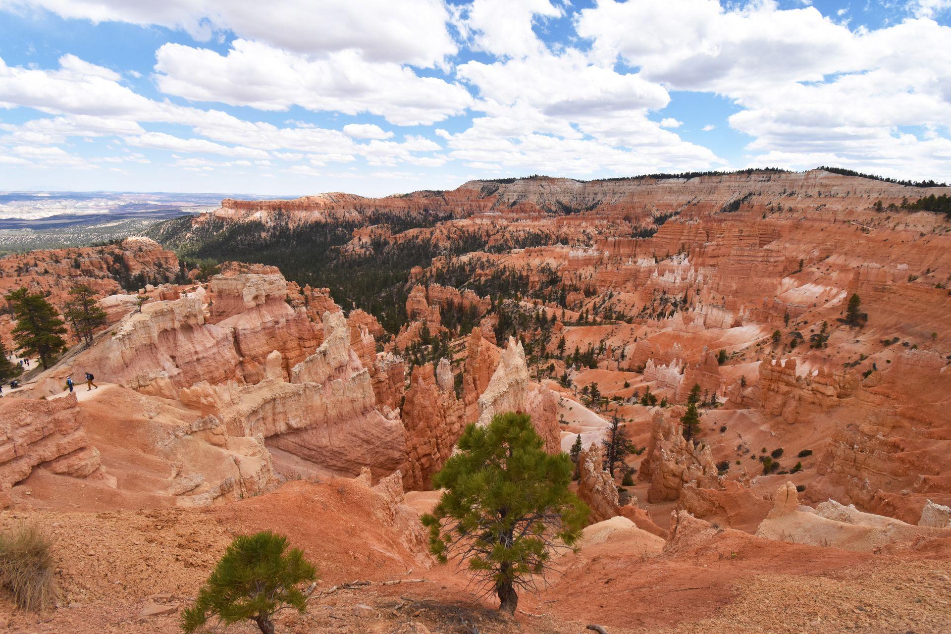 An expansive view of orange hoodoos from Sunrise Point.