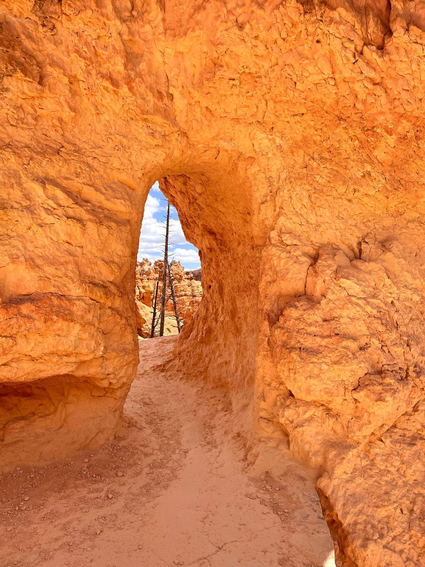 A trail in Bryce Canyon going through a tunnel of rock.