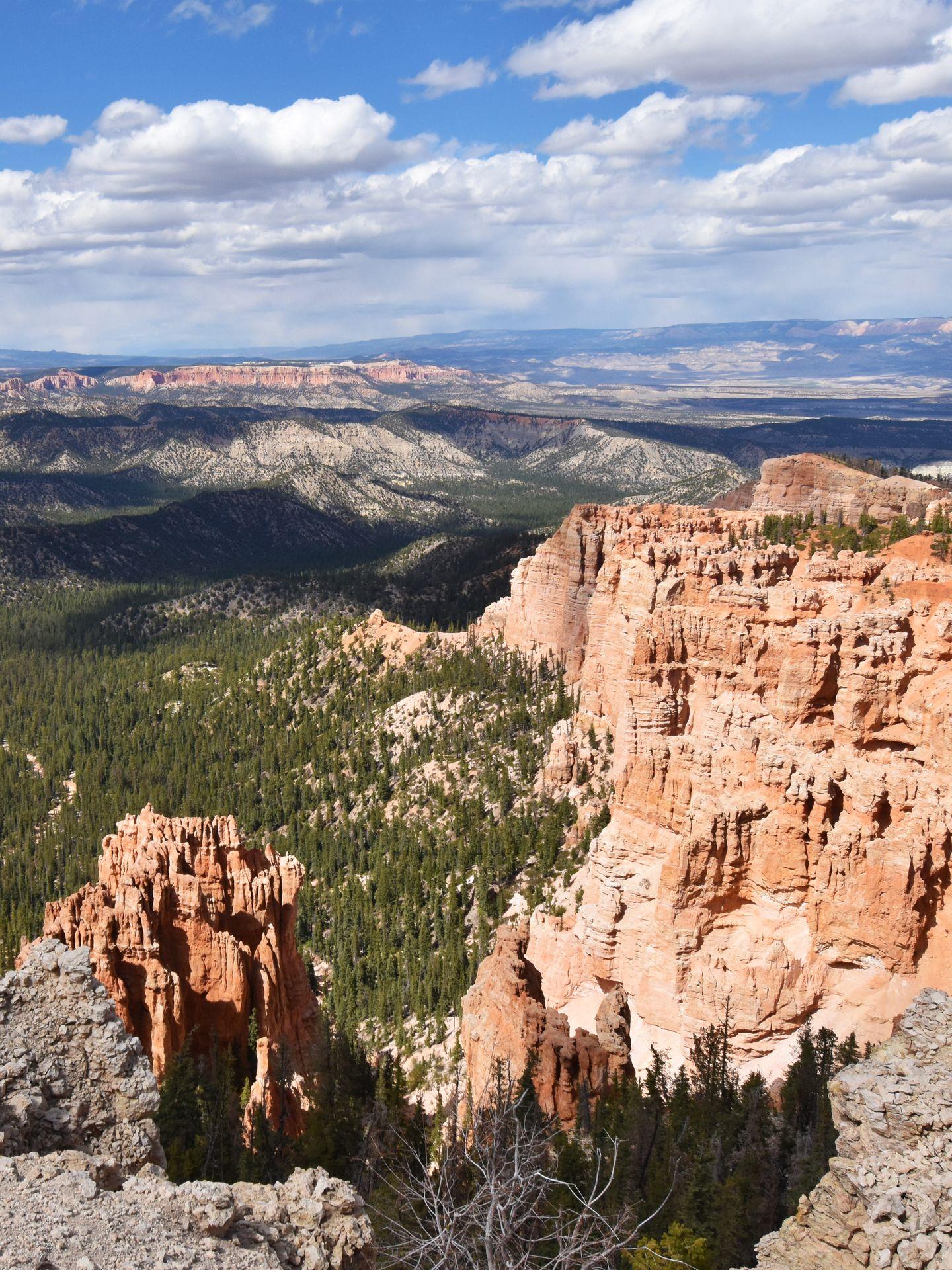 A view of some light orange colored hoodoos from Yovimpa Point. In the distance, there is a mix of green greens and various orange rock faces.