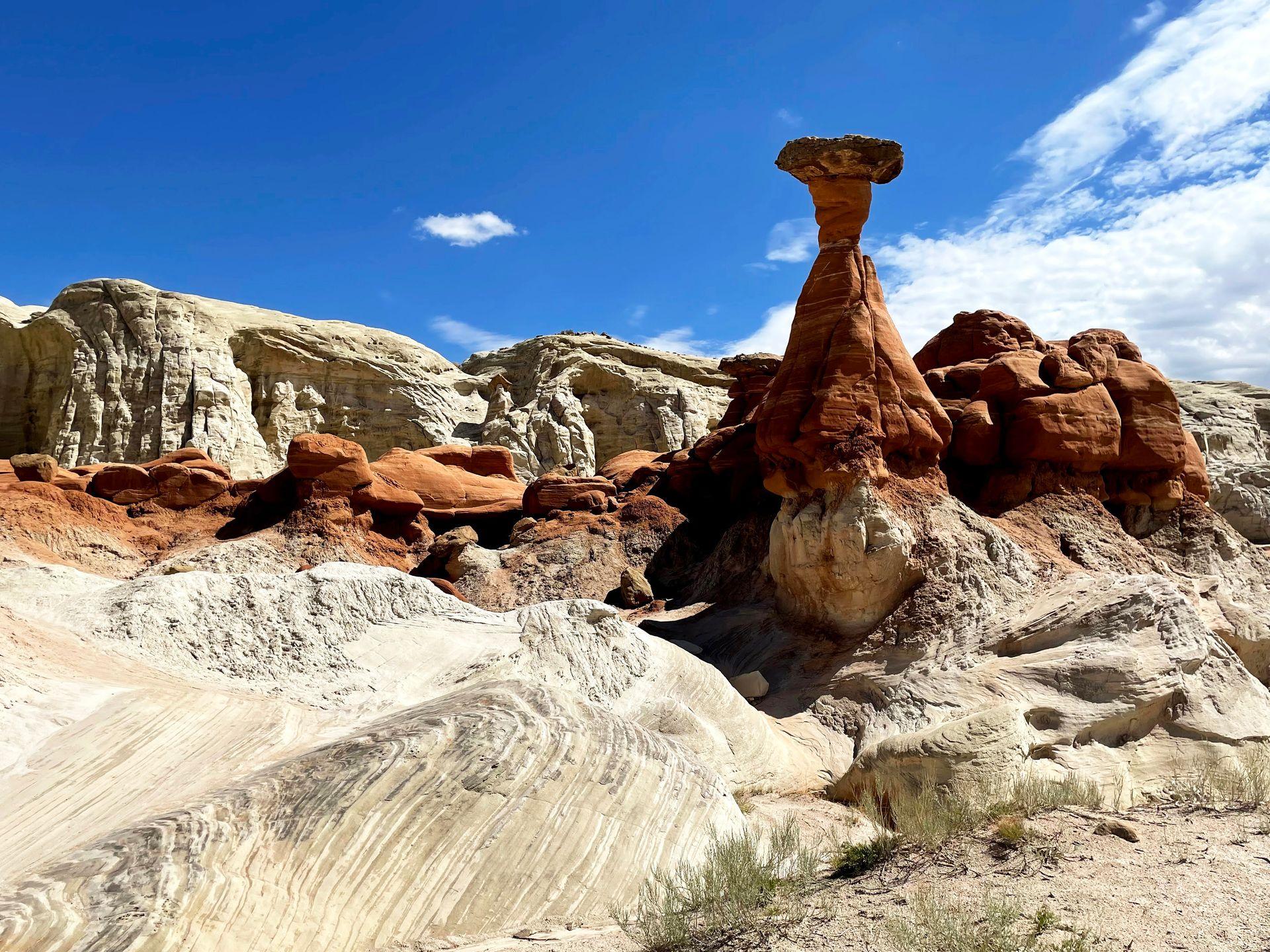 White and orange rocks and hoodoo rock formations on the Toadstool Hoodoos trail.