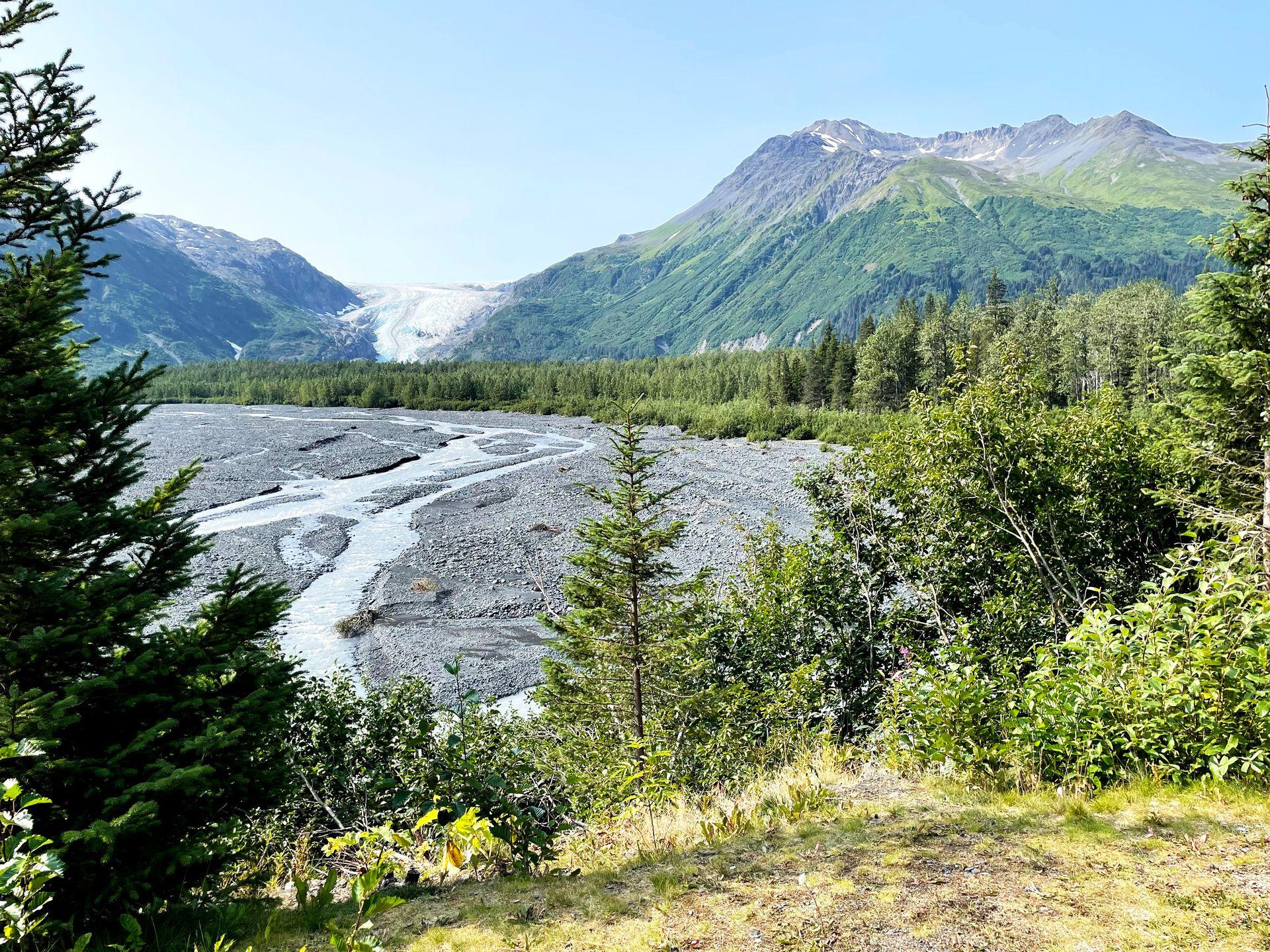 A view of a wash and Exit Glacier in the distance at Kenai Fjords National Park.