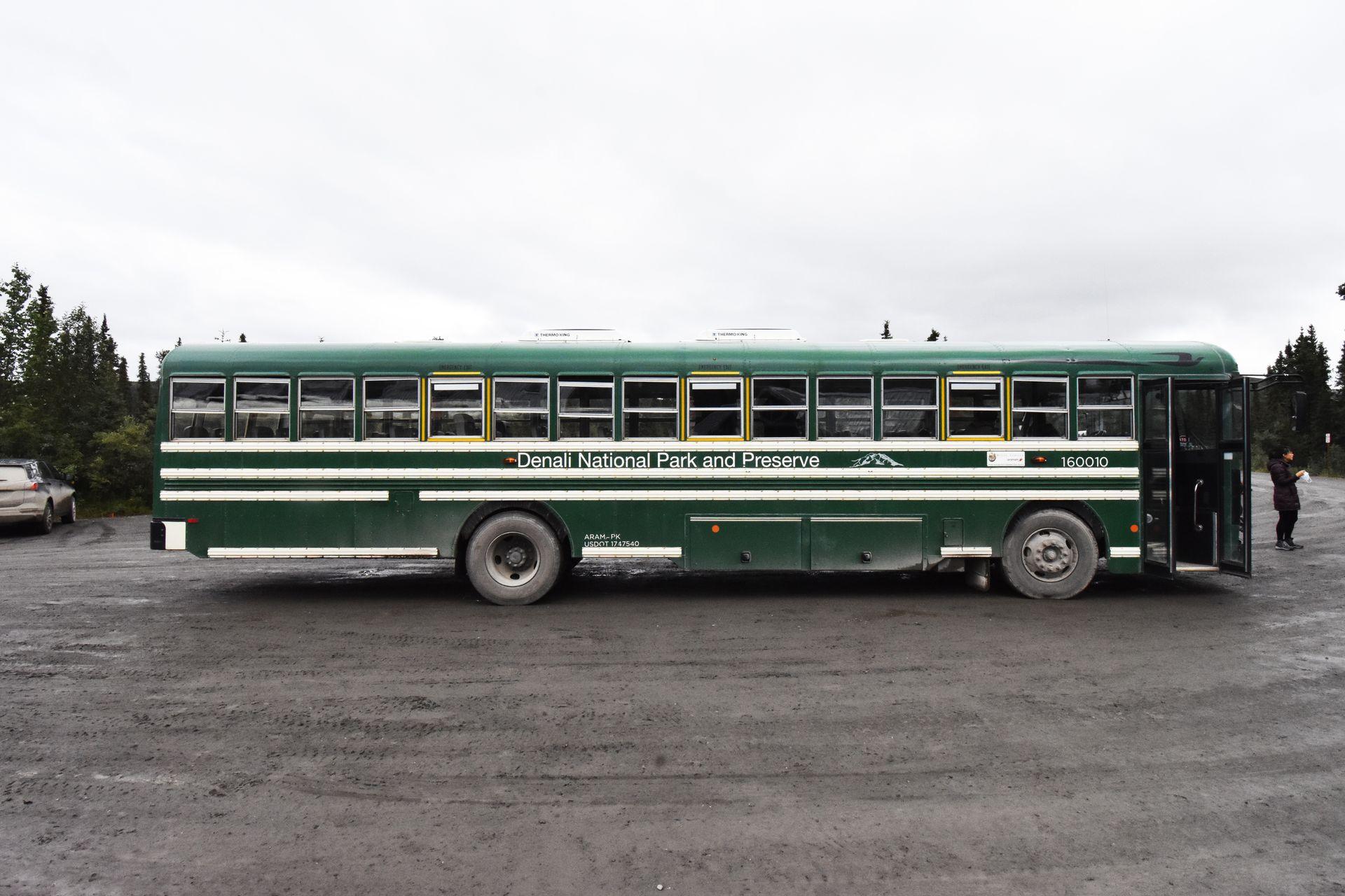 The green and white transit bus that takes passengers through Denali National Park.