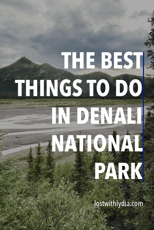 Learn about the best things to do in Denali National Park in the summertime! Read about the Denali bus tours, hiking trails, dog kennels and more.