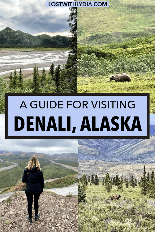 Learn about the best things to do in Denali National Park in the summertime! Read about the Denali bus tours, hiking trails, dog kennels and more.