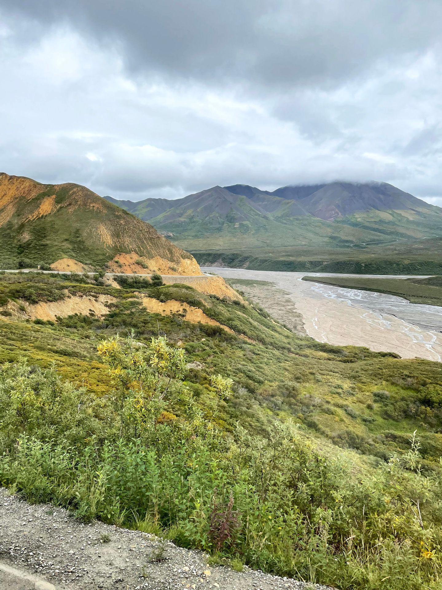 A view of mountains, greenery and the road through Denali National Park