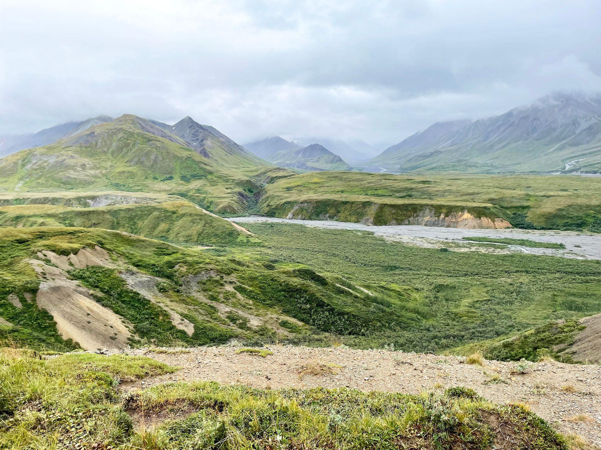 A view of greenery, mountains and a river inside of Denali National Park.
