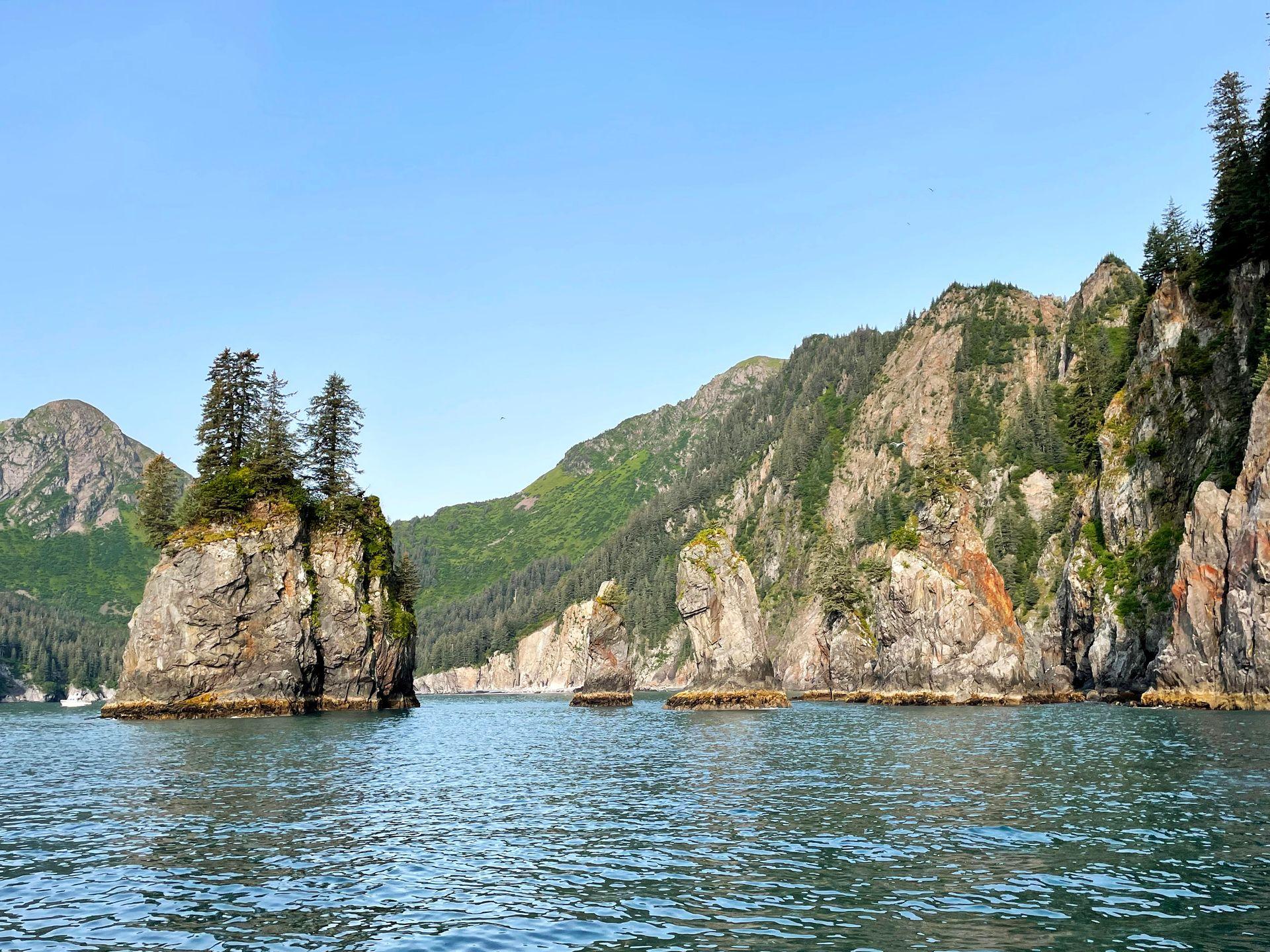 A view of the Cove of the Spires, jagged rock formations sticking out of the water, in Kenai Fjords National Park.