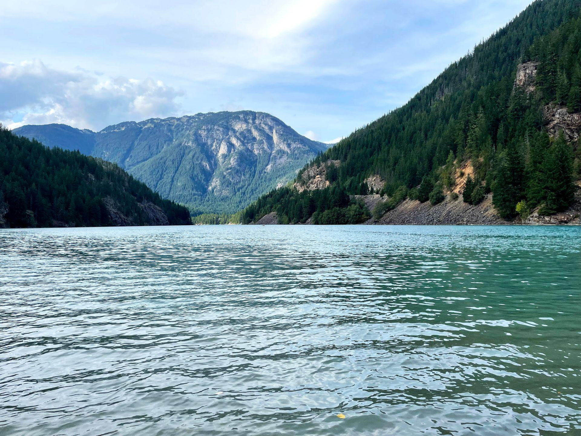A close up view of the green water in Diablo Lake.