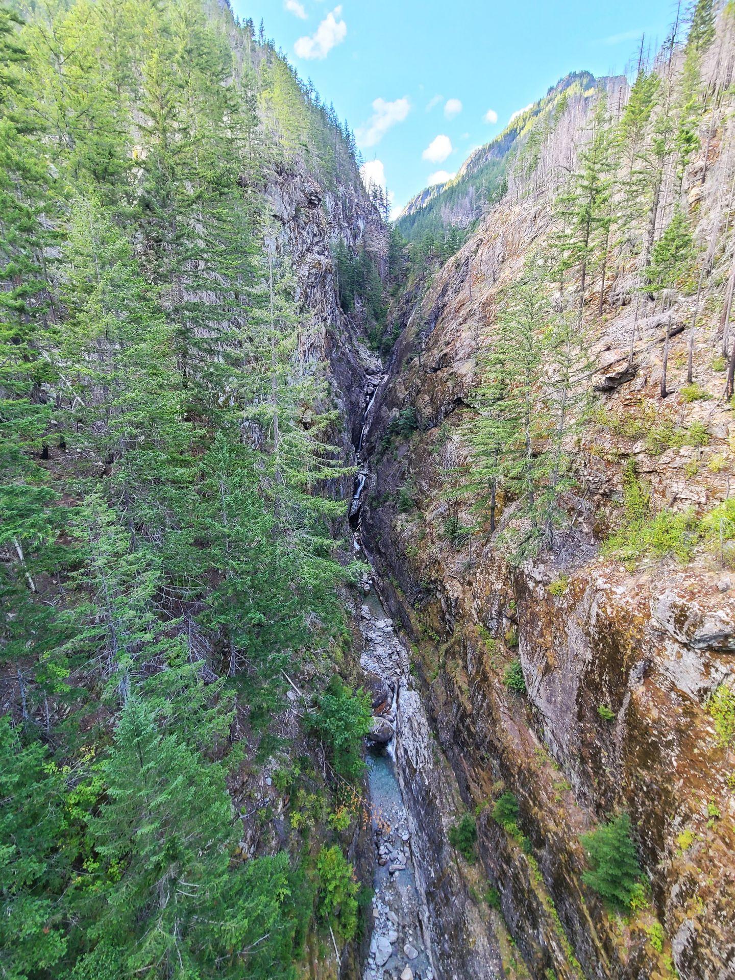 A narrow waterfall in a gorge surrounded by trees.