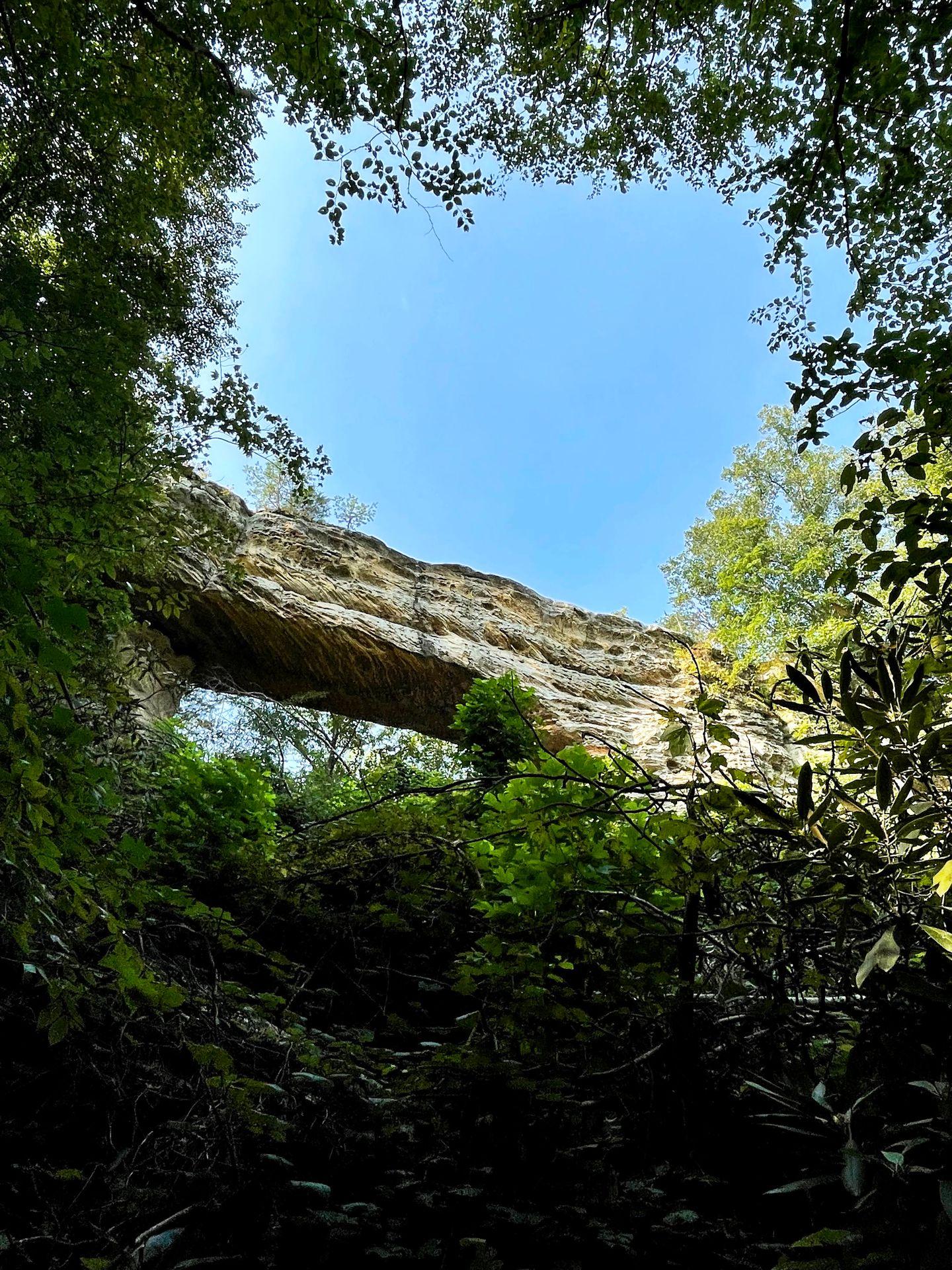A rock bridge through trees.