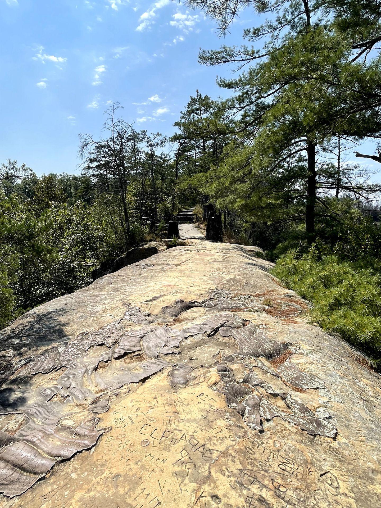 The top of Sky Bridge in Red River Gorge