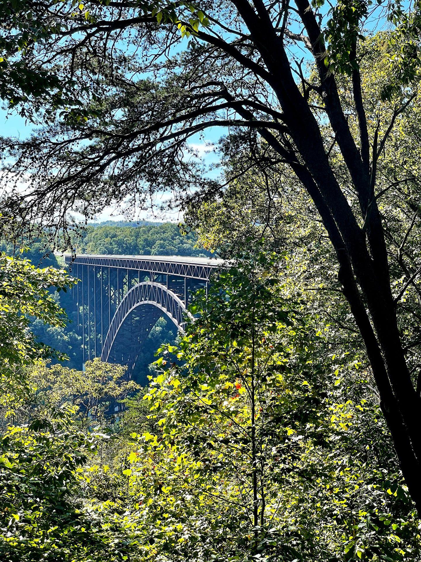 The New River Gorge Bridge between several trees.