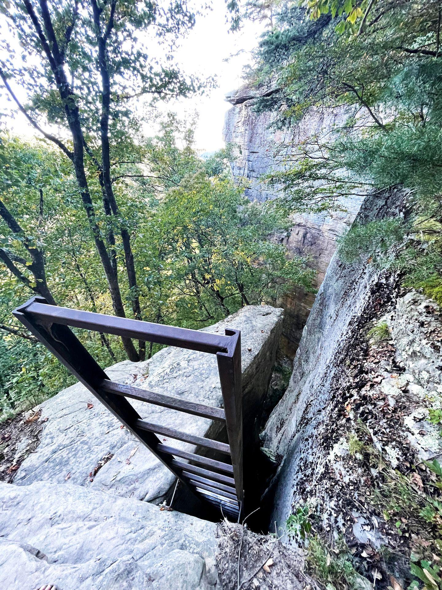 A ladder for rock climbers on the Endless Wall trail.