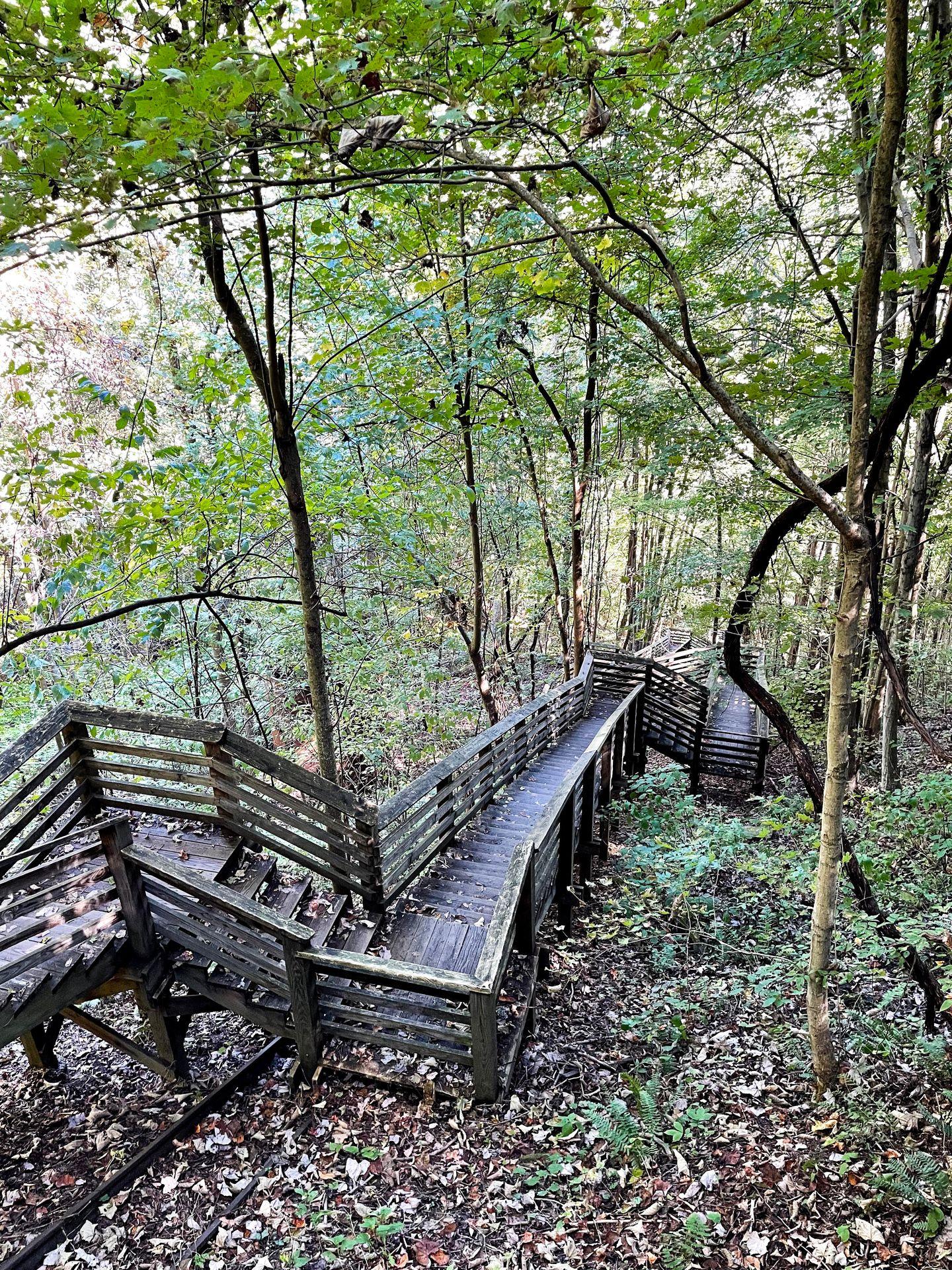 The steps leading down to the Kaymoor Miners trail.