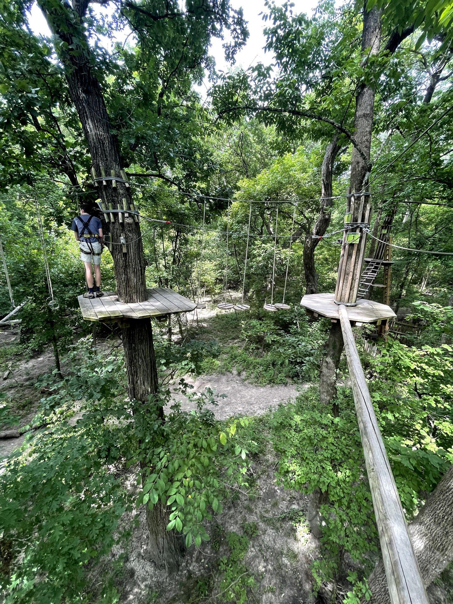 A treetop canopy course. There are wooden platforms around trees and various ropes going between the trees.