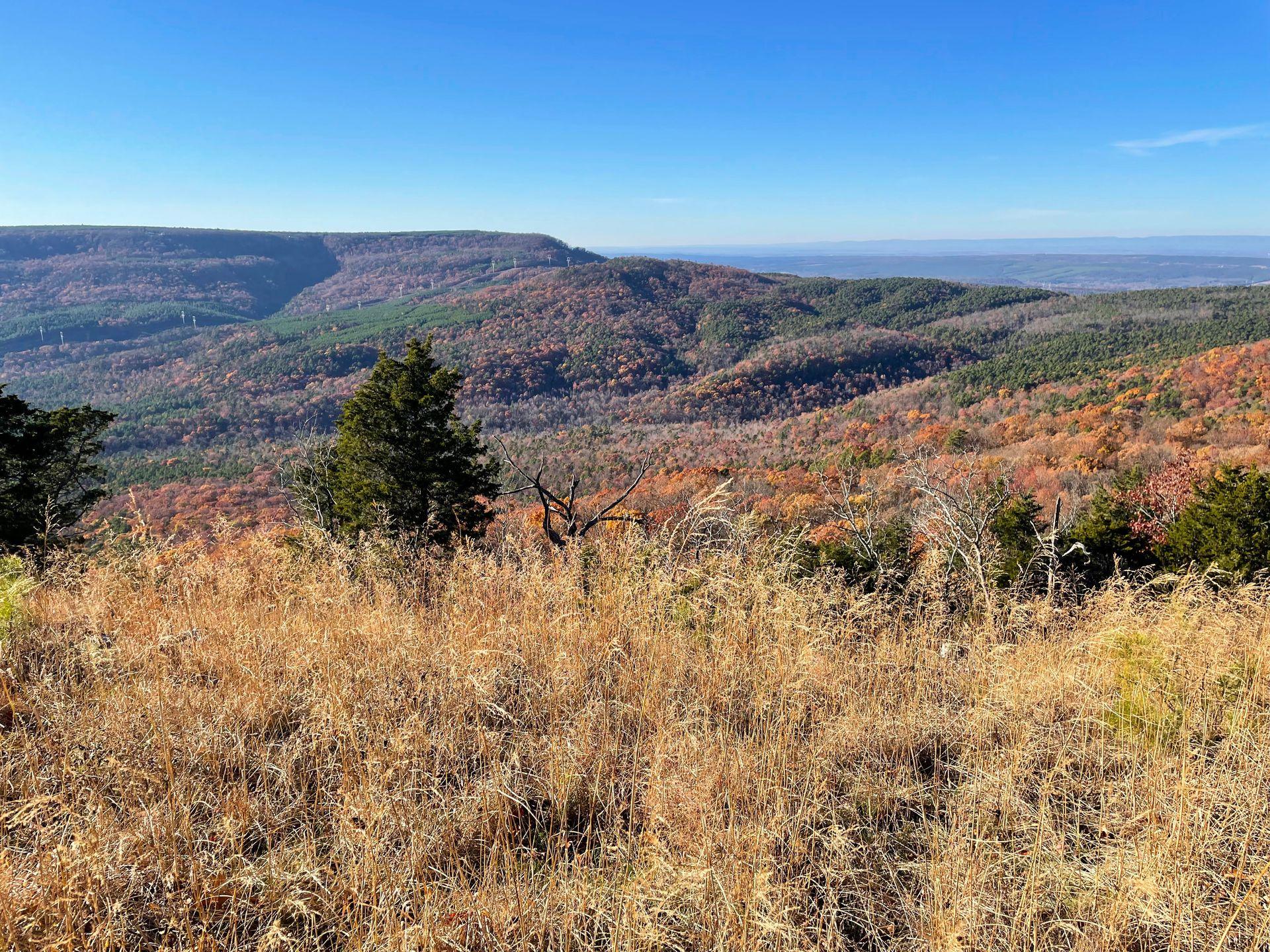 Looking out at a hilly landscape from near the Gum Springs Trail in Mount Nebo.