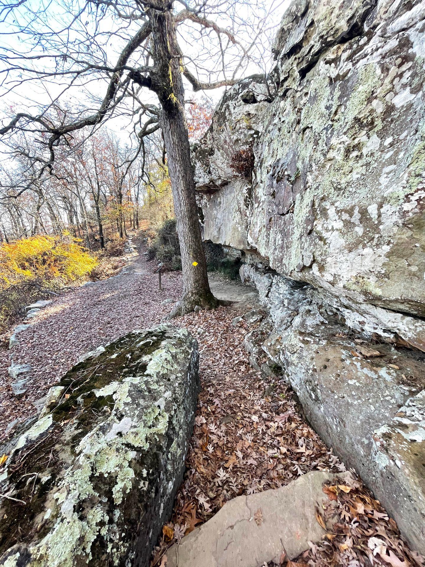 A large gray rock face and a trail covered with fallen red leaves.