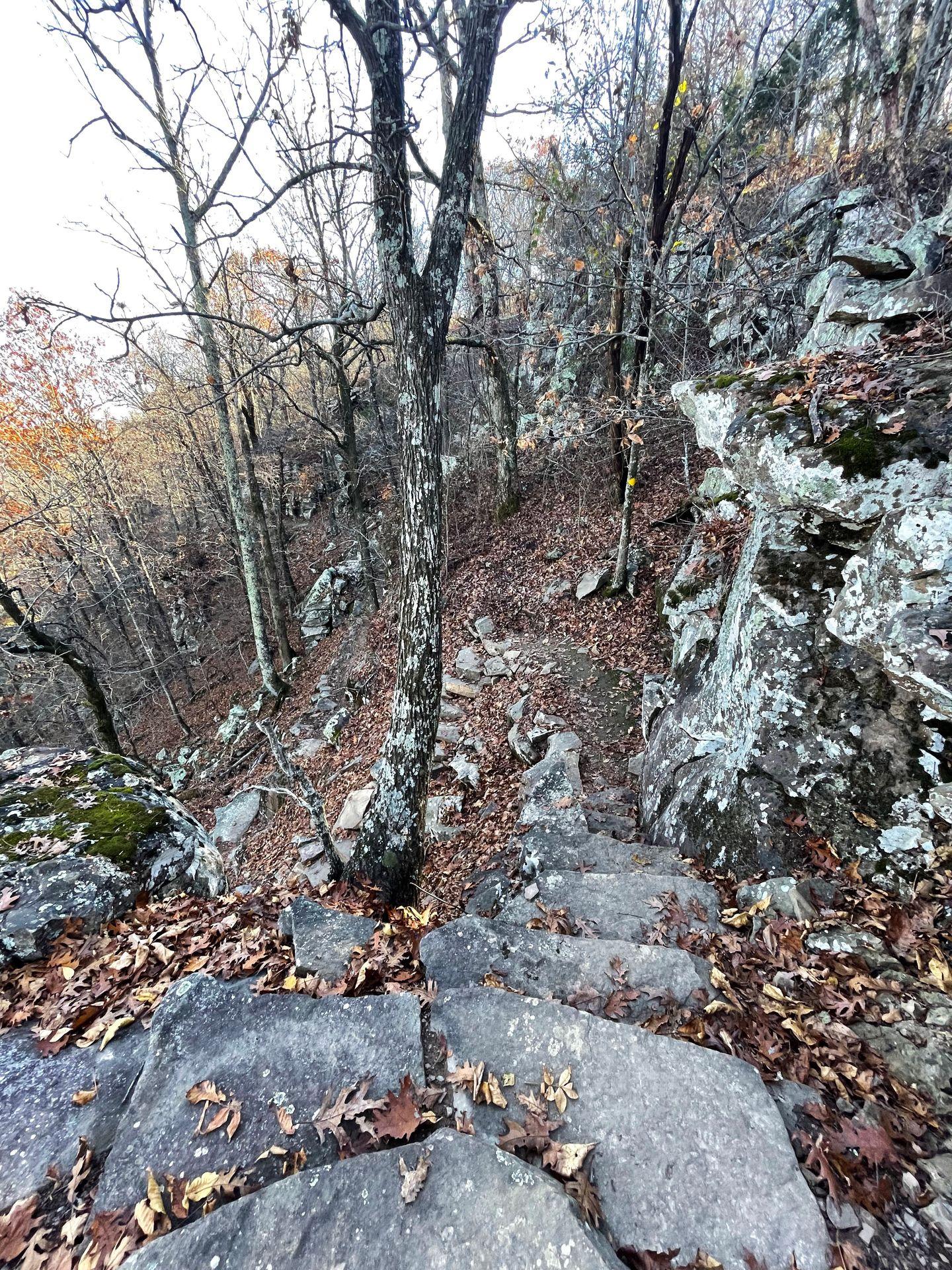 Stone steps along a gray rock face on a trail in Mount Nebo.