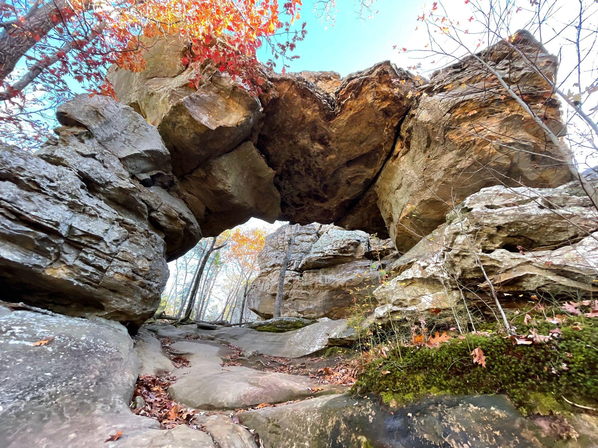 Looking up at a large rock arch on the Seven Hollow trails. The arch looks a bit square and there is a tree with red leaves on the top corner. Some leaves have fallen down onto the rocks.