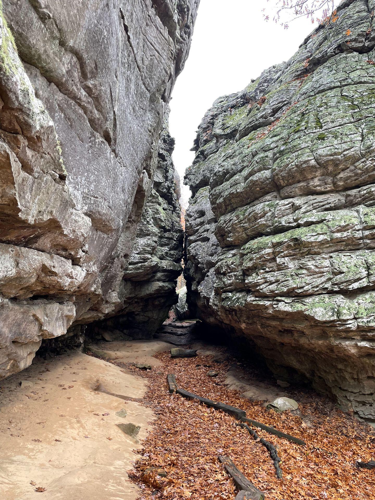 Some large rock faces next to each other with a small path between them. Red leaves cover the ground.