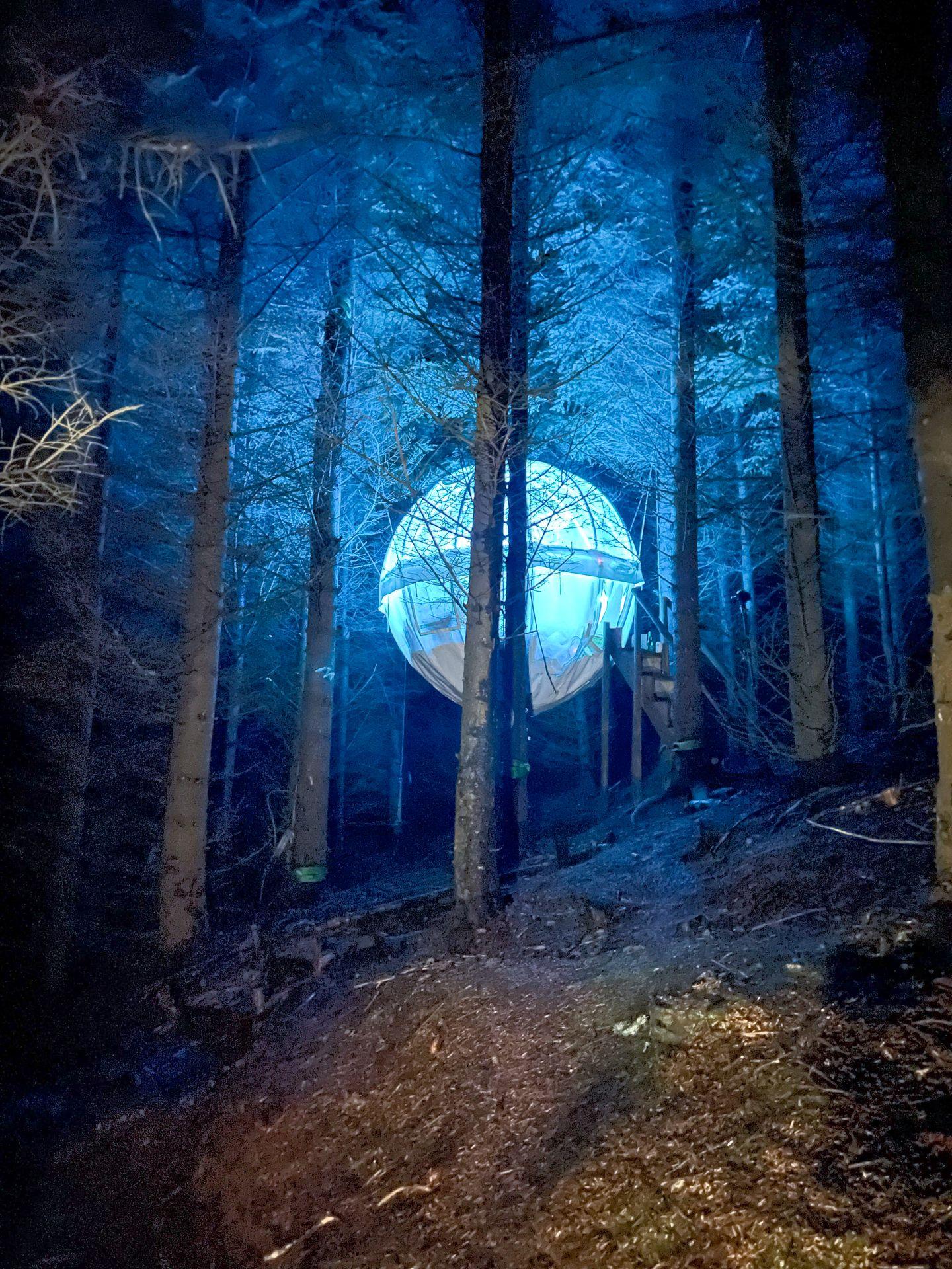 A lit-up clear bubble hanging among tall trees.