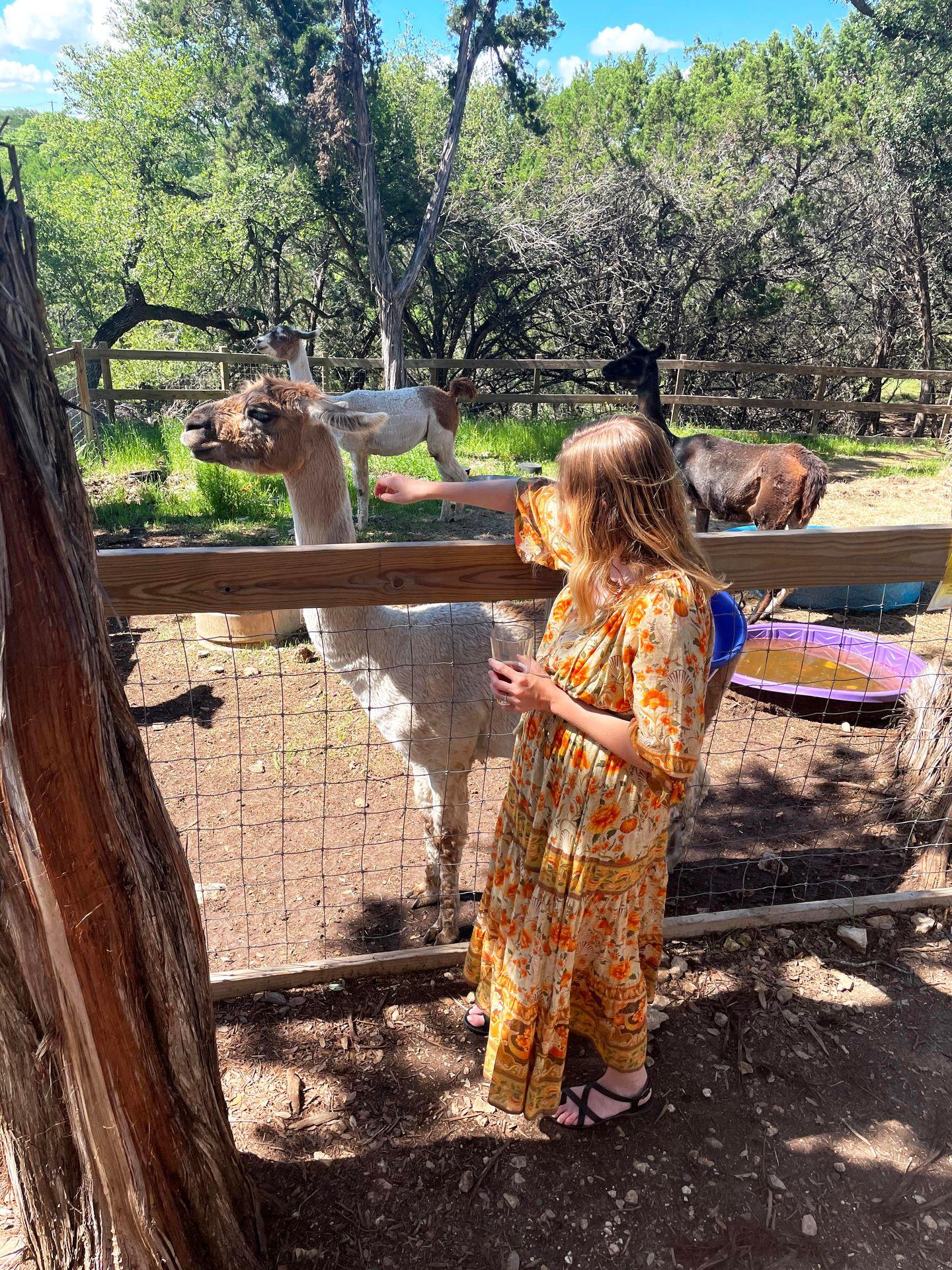 Lydia in a yellow dress reaching out to pet a llama at the Shady Llama