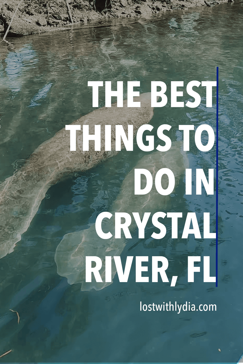 Have you ever wanted to swim with manatees? This guide shares everthing you need to know about visiting Crystal River, Florida.