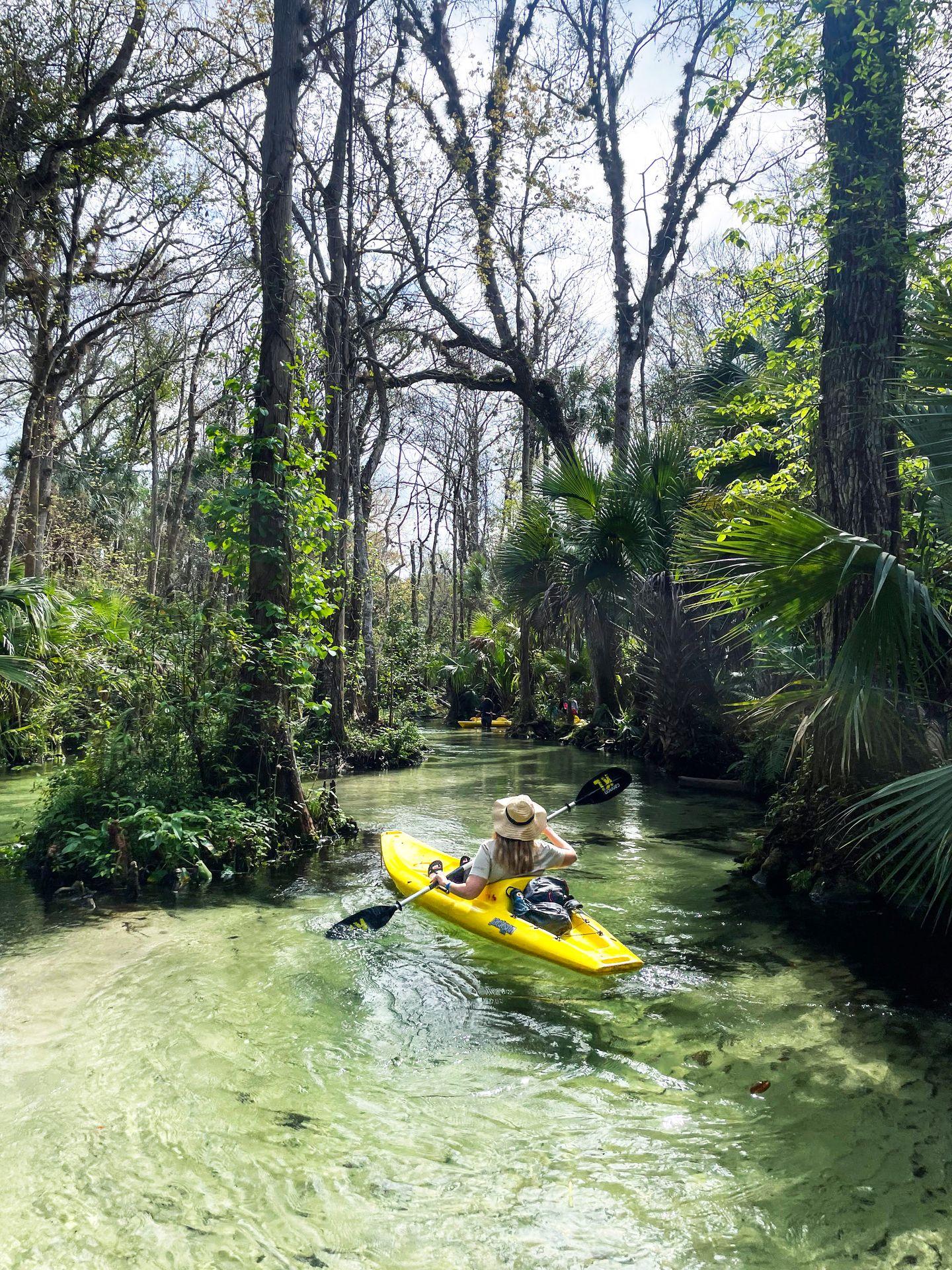 Lydia sitting in a yellow kayak. She kayaks through a narrow waterway surrounded by green palms.