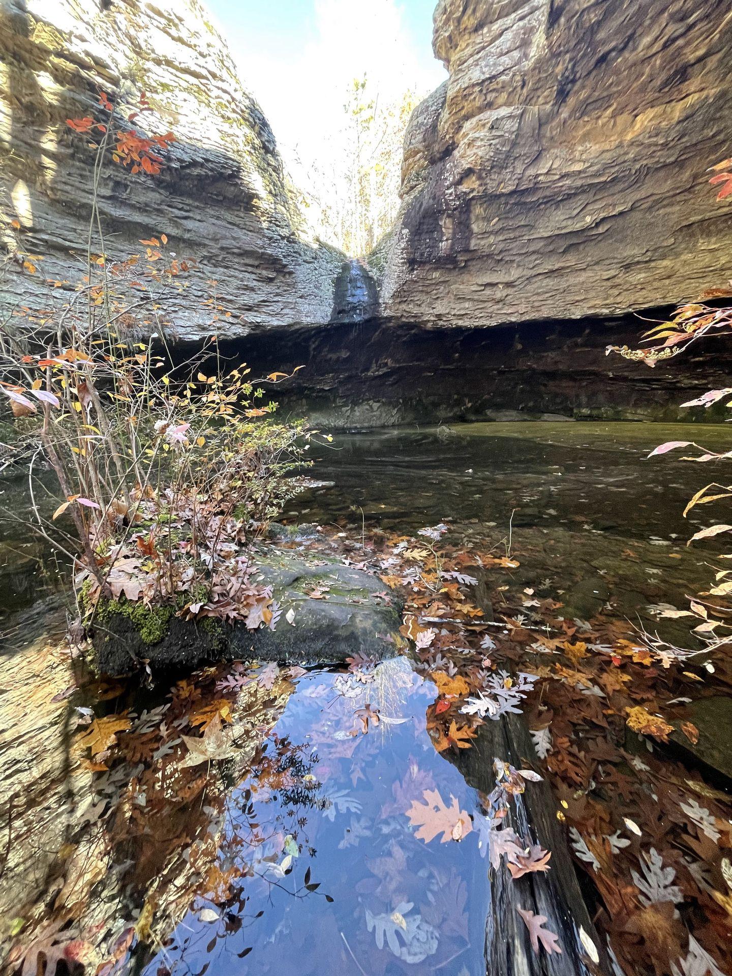 The grotto on the Seven Hollows trail in Petit Jean State Park. A trickle of a waterfall leads down to a pool of water.