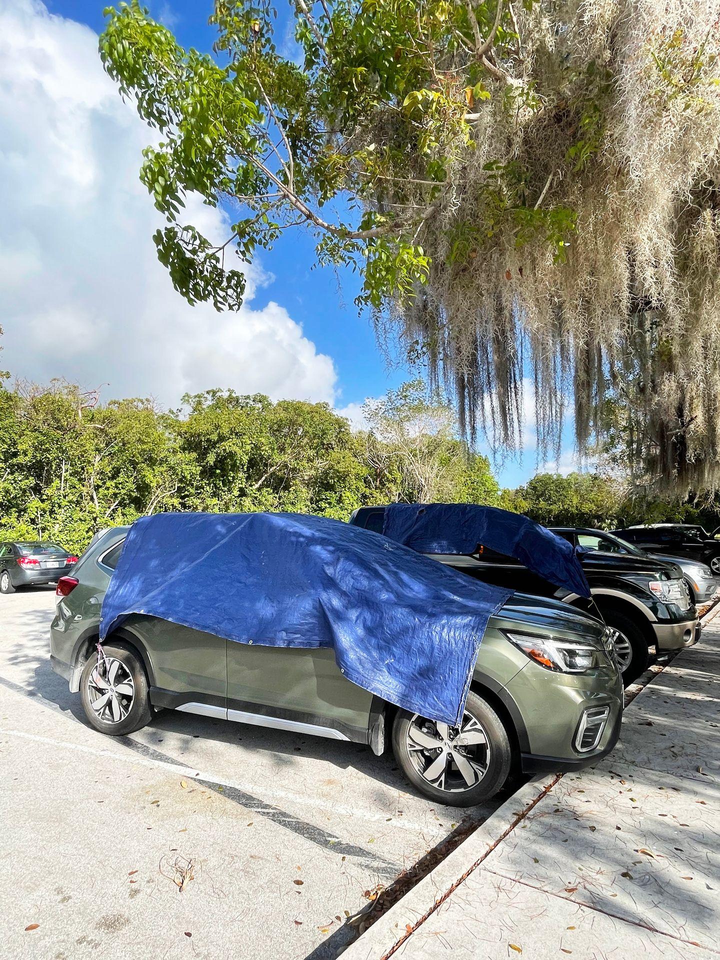 Two cars parked in the Royal Palm Visitor Center parking lot with blue tarps over them.