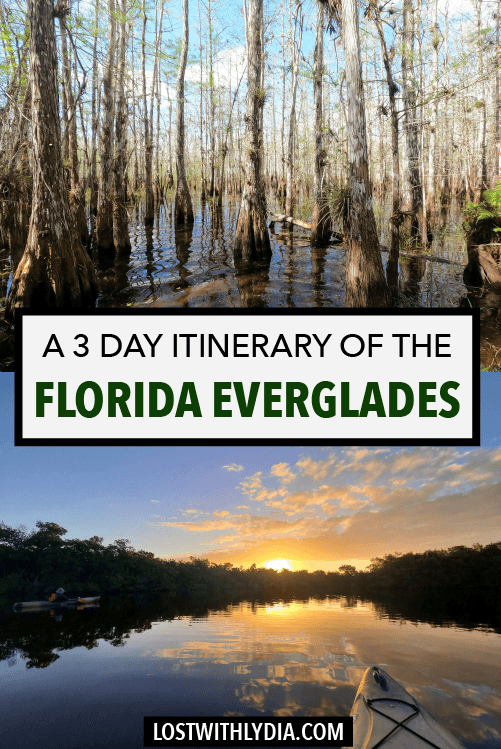 Learn how to spend 3 days in the Everglades and Big Cypress National Preserve with this detailed Florida itinerary!
