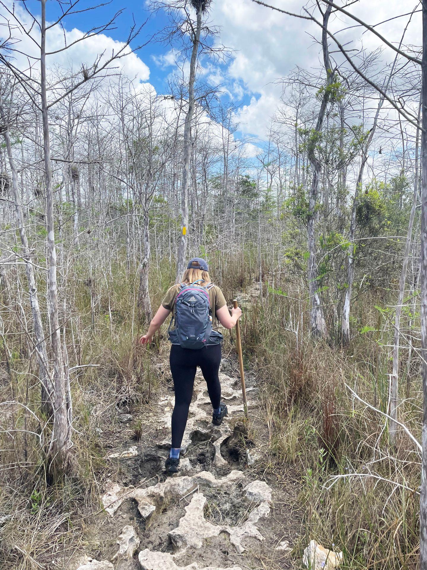 Lydia hiking over some limestone rocks that mimic swiss cheese on the Gator Hook trail.