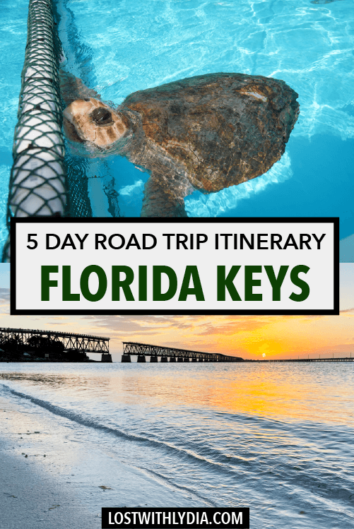 Plan your Florida Keys road trip with this guide! This blog shares a 5 day Florida Keys itinerary for exploring both the Upper Keys and Key West.