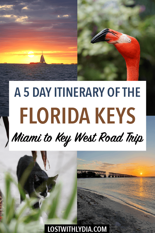 Plan your Florida Keys road trip with this guide! This blog shares a 5 day Florida Keys itinerary for exploring both the Upper Keys and Key West.