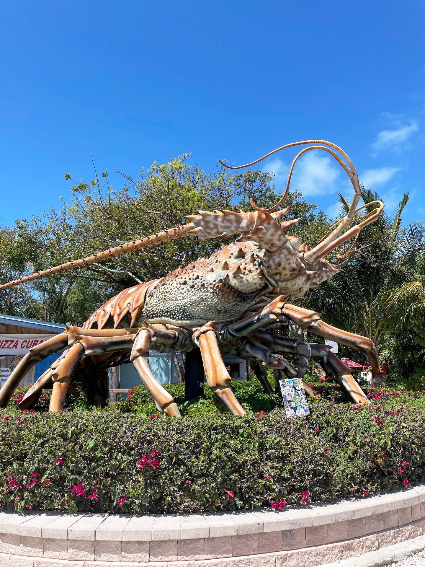A giant lobster statue. In the foreground there is a bush with a few magenta flowers